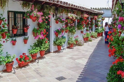 Cordoba's Authentic Patios: 2-Hour Tour with Tickets