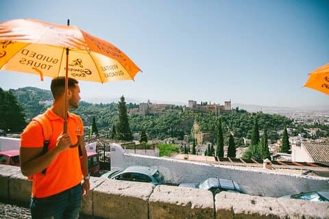 Private Walking Tour in Granada