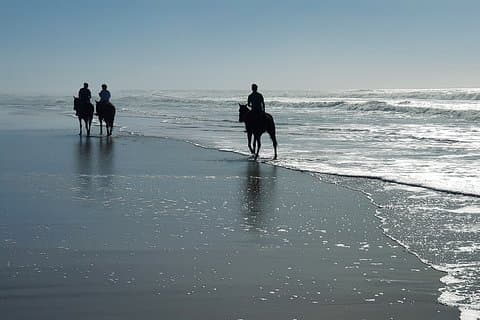 Low tide