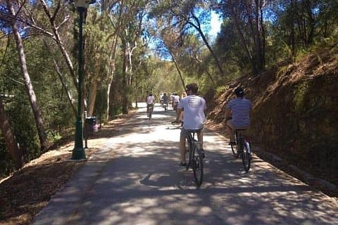 On the Gibralfaro forest
