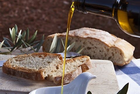 Visit to the oil mill with EVOO experiences in Cuenca
