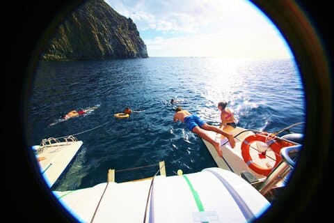 Whale watching & listening Eco-Catamaran Tour with Snacks &Drinks