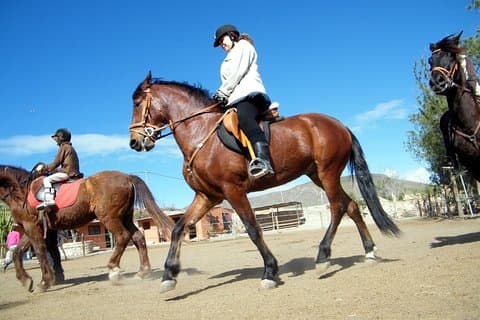 Horseback Riding in Fuerteventura for 1 or 2 hours, Spain