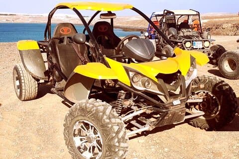 Buggy Renly 500