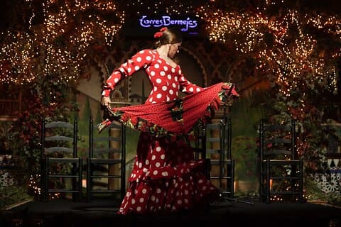 Torres Bermejas Flamenco Show