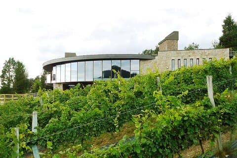 Txakoli Wine Tasting & Local Flavors near Bilbao