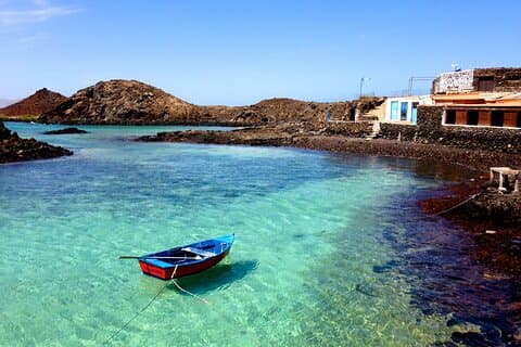 Dolphin Watching Cruise to Lobos Island