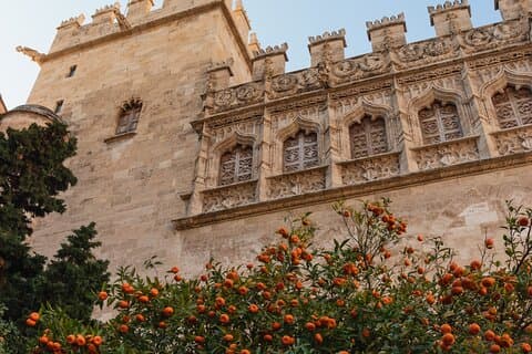 https://www.tripadvisor.com/PreviewImage?p=11&img=218979286