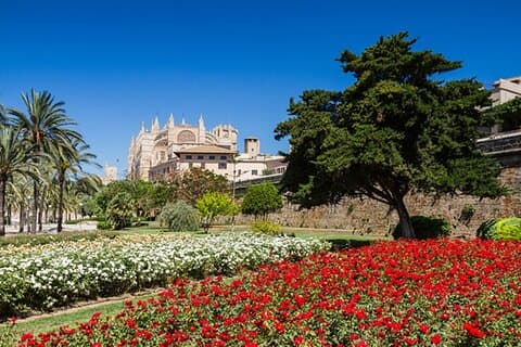 Visit Palma and Valldemossa