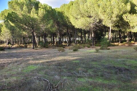 Self-guided Bike Tour around Doñana from Seville