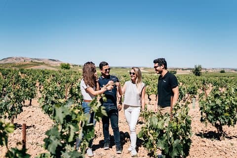 Private Segovia & Ribera del Duero with Wine Tasting from Madrid