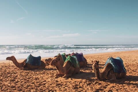 Private Tour from Cadiz to Tangier and Asilah