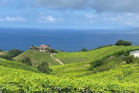Private San Sebastian Coastal Tour with Txakoli Wine – Full Day