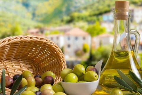 Olive Oil Excursion to an olive mill in the Lecrín Valley