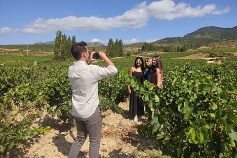 Rioja wine tour: winery and traditional lunch from San Sebastian