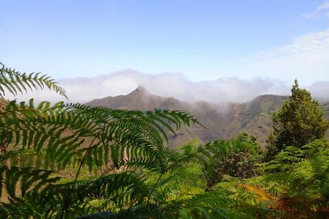 Amazing Anaga: Small-Group Hiking Tour (12km) in Tenerife