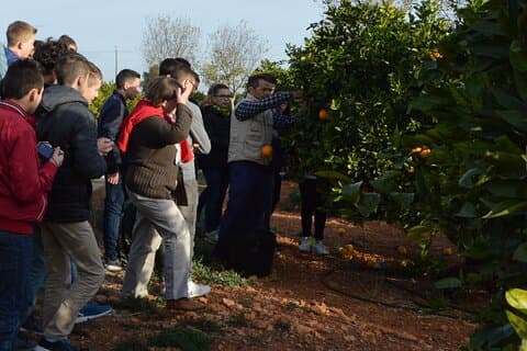Stately Garden Tour with Orange Tasting