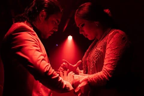 Flamenco Show at Tablao La Carmela in Madrid