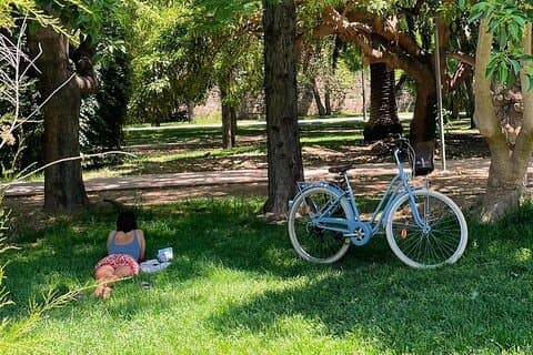 Three Parks Tour | Private Ride by Bike, E-Bike, E-Step or Segway