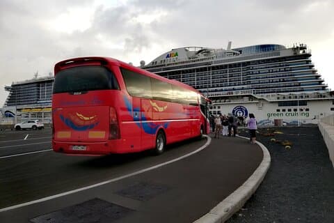 Tour of Jameos del Agua Viewpoint and Valley of 1000 Palm Trees for cruise passengers