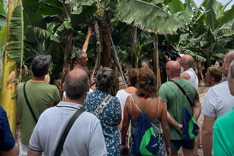Guided tour of the Banana World