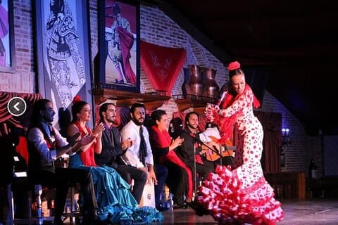 Flamenco night Show and Dinner in Madrid
