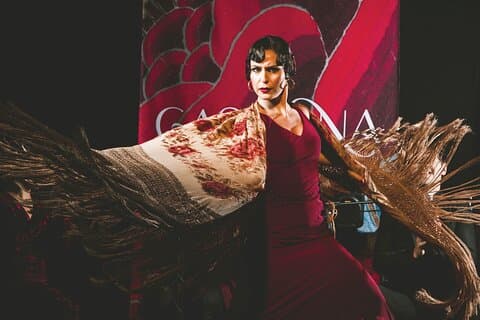 Traditional Flamenco Show at Tablao Casa Ana