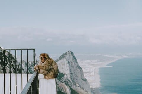 Full-Day Private Tour from Seville to Gibraltar