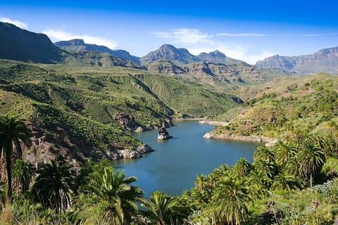 Guided tour: Discover Gran Canaria