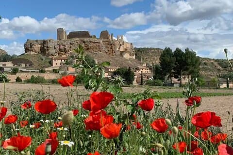 2-Night Escape From Madrid: Food, Wine, Hidden Village & A Castle