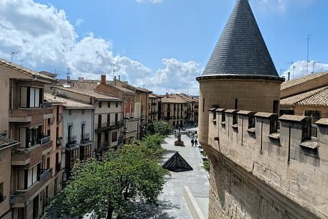 Olite Royal Palace & Local Wine Experience with Gastronomic Lunch