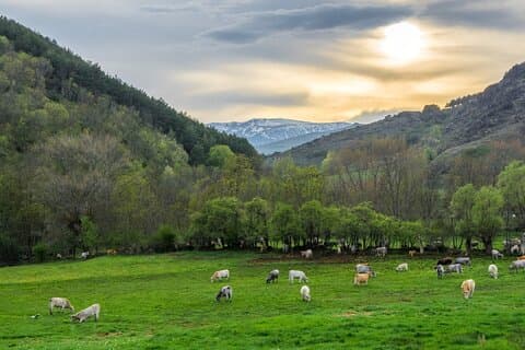 Full Day Private Guided Tour in Cerdanya