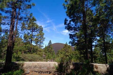 A classic view of volcano and forest