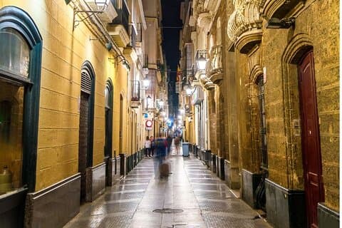 Cadiz : Private Custom Walking Tour With A Local Guide