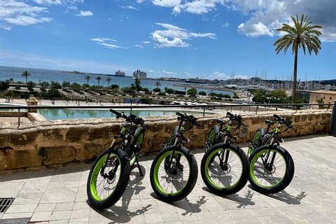 Exclusive Fat Tire E-Bike Tour in Palma