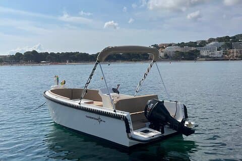 Boat Rental - No license required