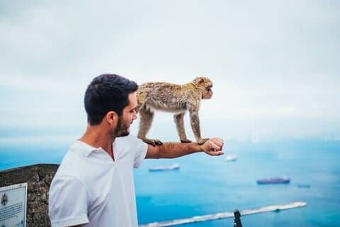 From Malaga, Gibraltar excursion with transport