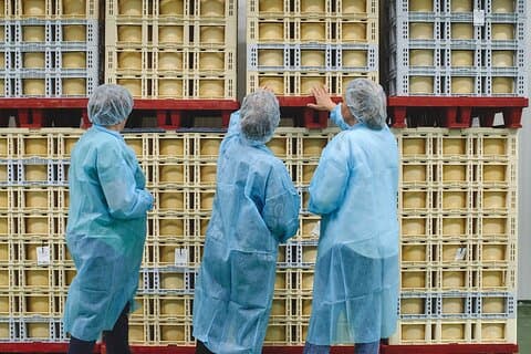 Visit La Antigua Cheese Factory (Cheese Tourism)