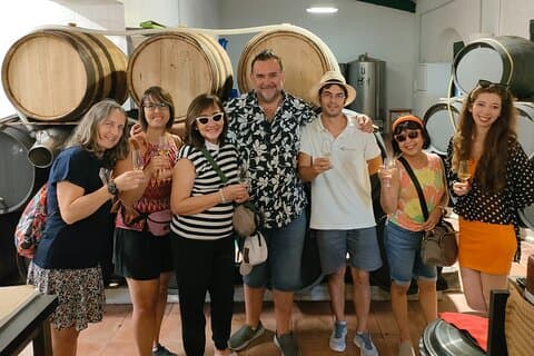 From Seville: Wine Tourism Half Day Tour