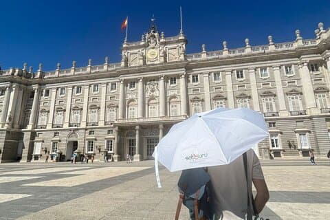 Royal Palace Afternoon Skip The Line & Madrid Historical Tour