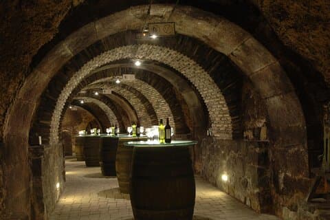 Wine cellar in a traditional winery