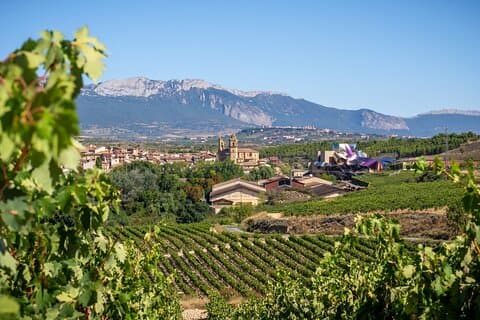 Vineyard Voyage: A Wine Lover’s Private Tour from Bilbao to Rioja