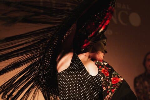 Centro Cultural Flamenco Madrid Admission Ticket