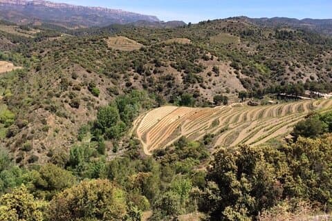 Priorat Spain