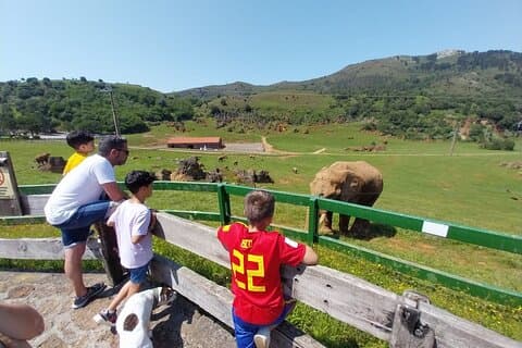 Elephant area
