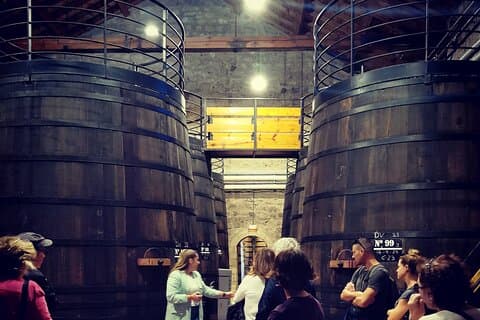Half-Day Tour to 2 Wineries in Madrid and Chinchon Region
