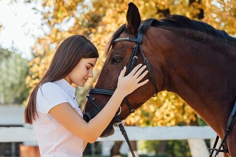 Guided tour of the stables of El Ranchito in Malaga
