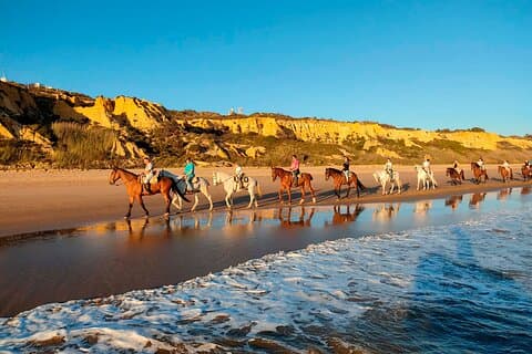 Horseback riding route through Doñana + visit to El Rocio-Private tour