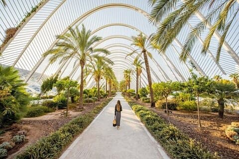 Valencia Must-See Attractions Walking Tour With Guide