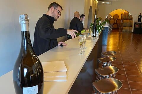 Wine-tasting tour: transfer with lunch (optional)
